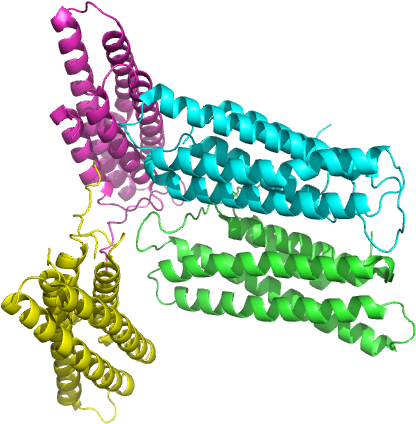 X-ray Diffraction Data From Human Metavinculin Tail - Illustration (512x512)