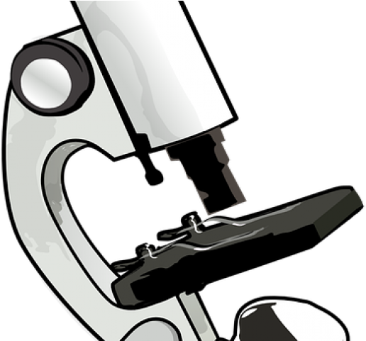 Image Free Library Free On Dumielauxepices Net Science - Compound Light Microscope Cartoon (640x480)