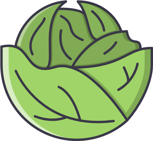Cabbage Free Icon - Portable Network Graphics (512x512)