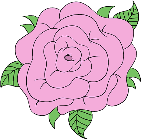 Cabbage Drawing Easy - Drawing (678x600)