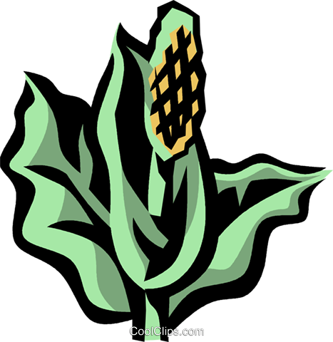 Skunk Cabbage Royalty Free Vector Clip Art Illustration - Skunk Cabbage Clipart (467x480)