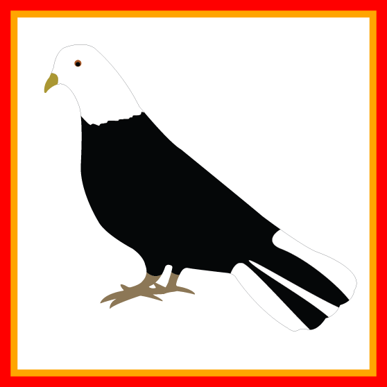 Appealing Dove Clip Art Black And White - Clip Art (558x558)