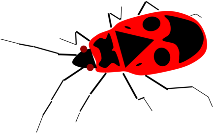 Insect European Firebug Computer Icons Windows Metafile - Firebug Png (453x340)