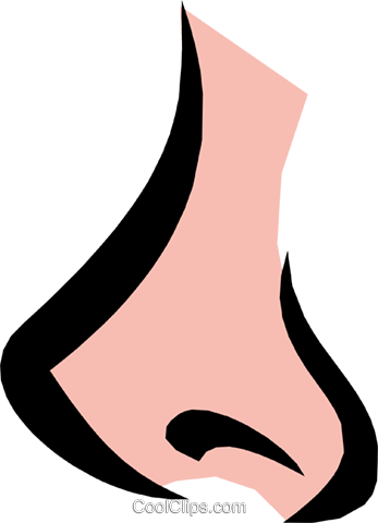 Nose Royalty Free Vector Clip Art Illustration - Nariz Png (347x480)