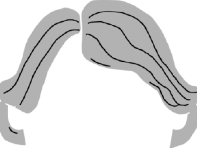 White Hair Clipart Gray Hair - Clip Art (640x480)