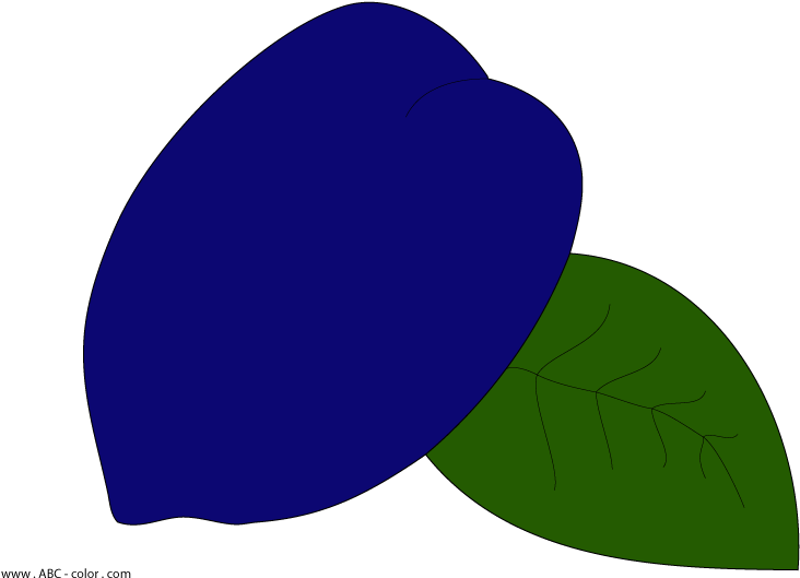 Download Bitmap Clipart Plum - Download Bitmap Clipart Plum (822x567)