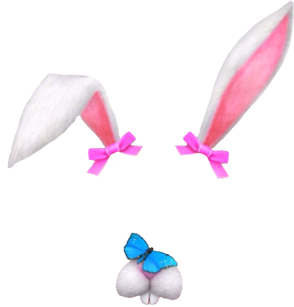 Snapchat Filters Free Png Image - Rabbit Snapchat Png (622x726)