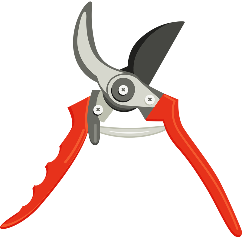 Фотки Planner Stickers, Art Flowers, Flower Art, Coloring - Pruning Shears (800x788)