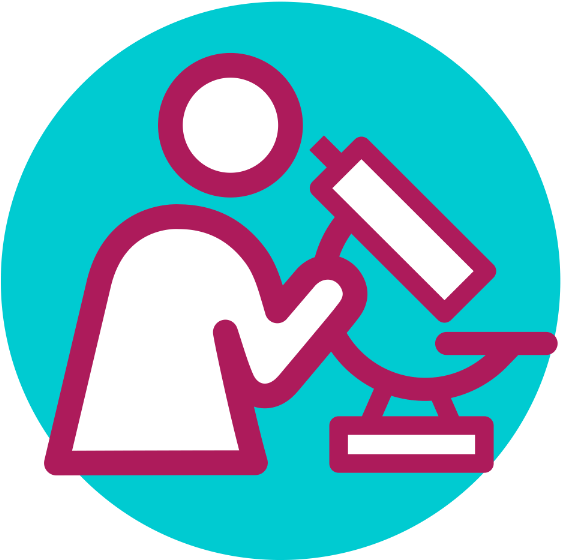 Capability Assessment - Capability Assessment (600x600)