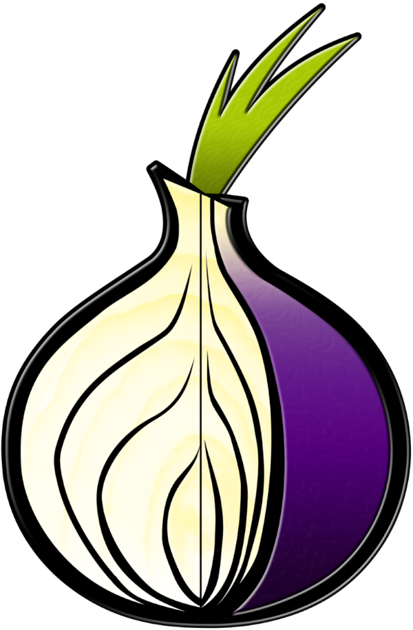 Onion Clipart Tree - Tor Browser Icon Png (600x914)