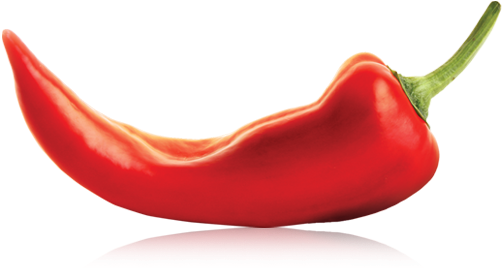 Chile Clipart 3rd - Chili Fire Png (505x276)