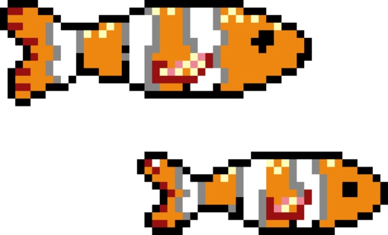 Allard's Clownfish Animal Copyright - Clownfish (560x340)