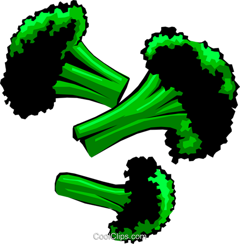 Pieces Of Broccoli Royalty Free Vector Clip Art Illustration - Vegetable (472x480)