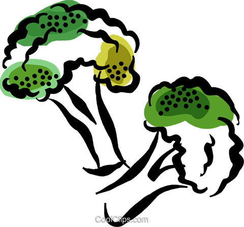Broccoli Royalty Free Vector Clip Art Illustration - Illustration (480x447)