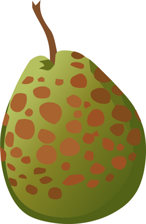 Chicken As Food Meat Guava Computer Icons - Pear (488x750)