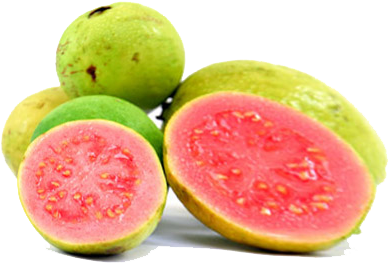 Guava - Guava Png (421x295)