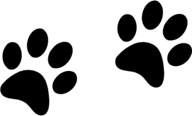 Oregon Clipart Paw Print - Puppy Paw Tracks Svg (640x480)