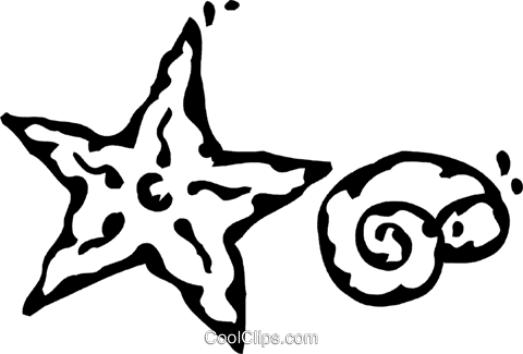 Seashells Royalty Free Vector Clip Art Illustration - Illustration (480x325)