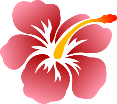Flower Shoeblackplant Hawaiian Hibiscus Drawing Swamp - Aloha Flower (382x340)