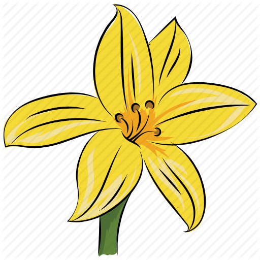 Daffodil Vector Svg Banner Transparent Stock - Scalable Vector Graphics (512x512)