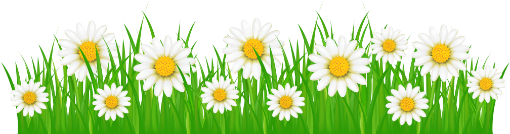 Preparing Your System For The Heat Of Summer Will Help - Flower And Grass Clipart (1024x279)