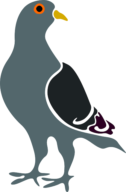 Pigeon Clip Art (421x640)
