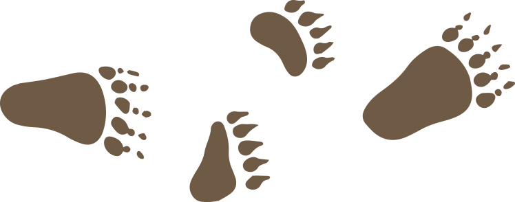 Deer Tracks Png Clipart Freeuse Stock - Transparent Deer Tracks (748x294)