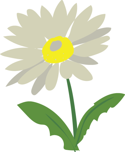 Now Let's Actually Improve The Identification Of An - Sunflower (409x496)
