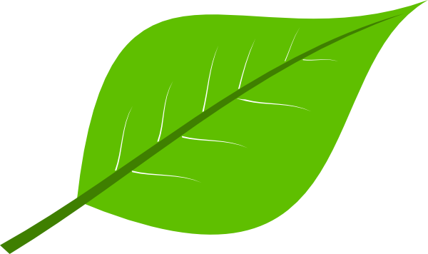 Fresh Leaves - Fresh Leaves (600x356)