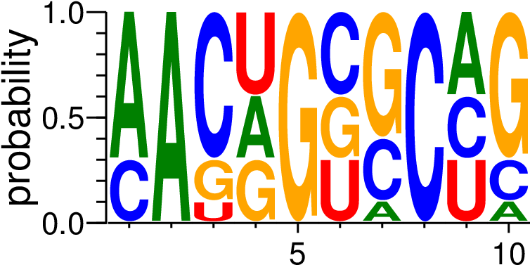 Please Specify A Sequence For Rin - Graphic Design (811x411)