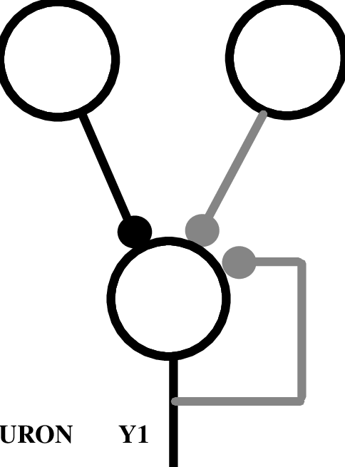 One Bit Memory With One Formal Neuron 12d - One Bit Memory With One Formal Neuron 12d (484x655)