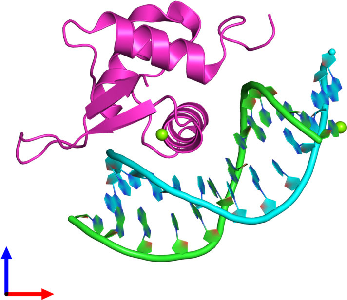 Pdb 3l2c Coloured By Chain And Viewed From The Front - Graphic Design (800x800)
