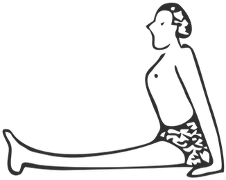 Dandasana - Dandasana (350x350)