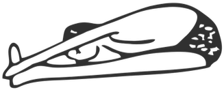 Simple Forward Bend Sequence - Paschimottanasana (350x350)