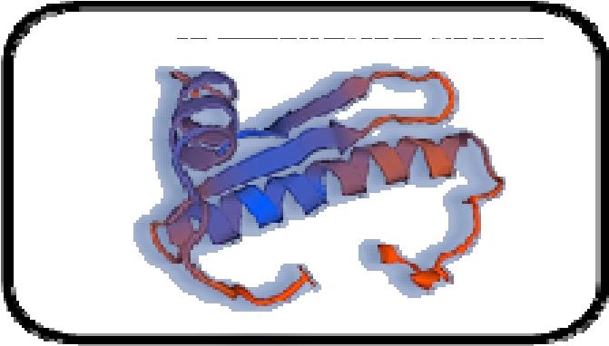 The Alignment Sequence Of Amino Acids Forming Part - Amino Acid (680x403)