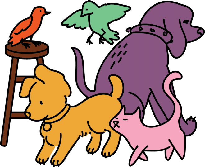 Tags - Austin (660x536)