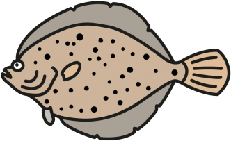 Lemon Sole - Lemon Sole (450x450)