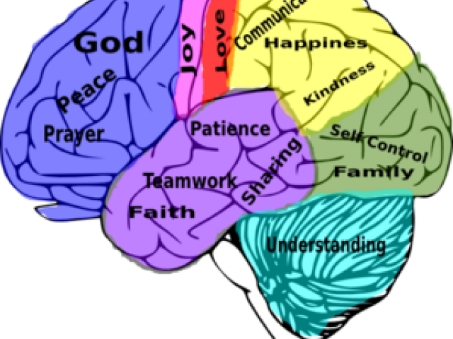 Human Brain And Social Media (640x480)
