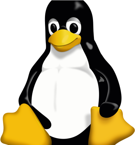 Once Overlooked, Uninitialized-use 'bugs' May Provide - Linux Penguin (500x480)