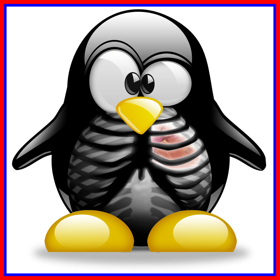 Clipart Freeuse Library Stunning Tux Ray Of Trends - Tux Kali Linux (908x908)