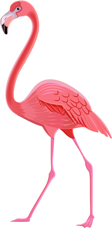 Flamingo Png Transparent Clip Art Image - Transparent Background Flamingo Png (400x813)