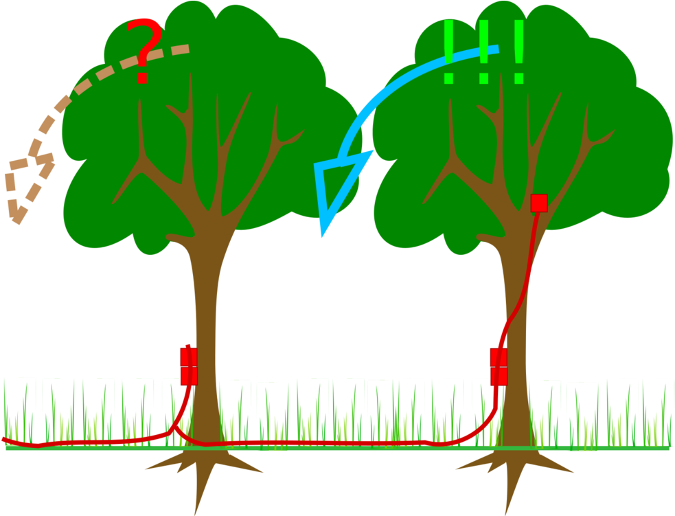 Explosive Material Branch Tree Computer Icons - Explosive (1554x750)