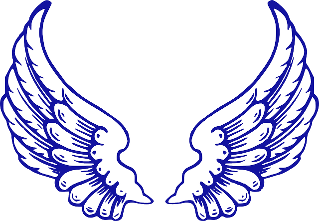 Engel, Karten, Orakel, Tarot Angel Wings Clip Art, - Angel Wings (640x443)