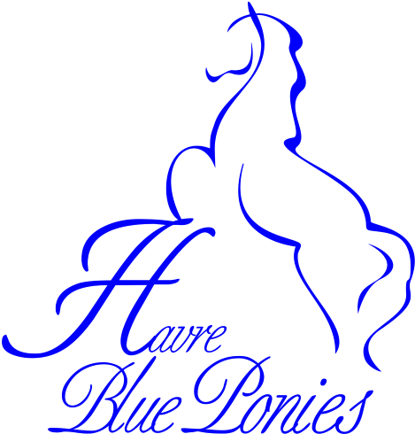 Havre Blue Ponies - Jds Bamboo Cutting Board - Horse Designs 2 (480x489)