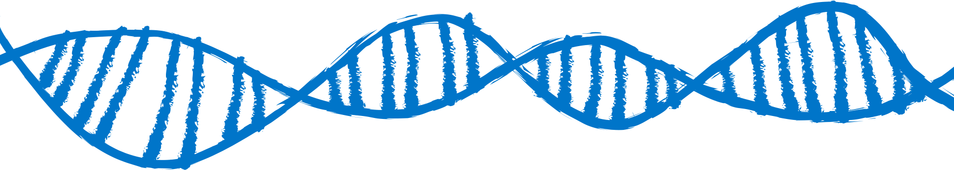 Fast - Dna Page Divider (1920x343)