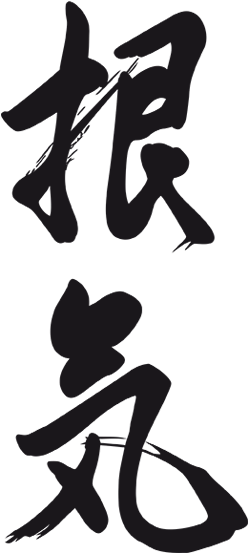 I Think That Perseverance Is The First Quality Of All - World Judo Day (259x589)