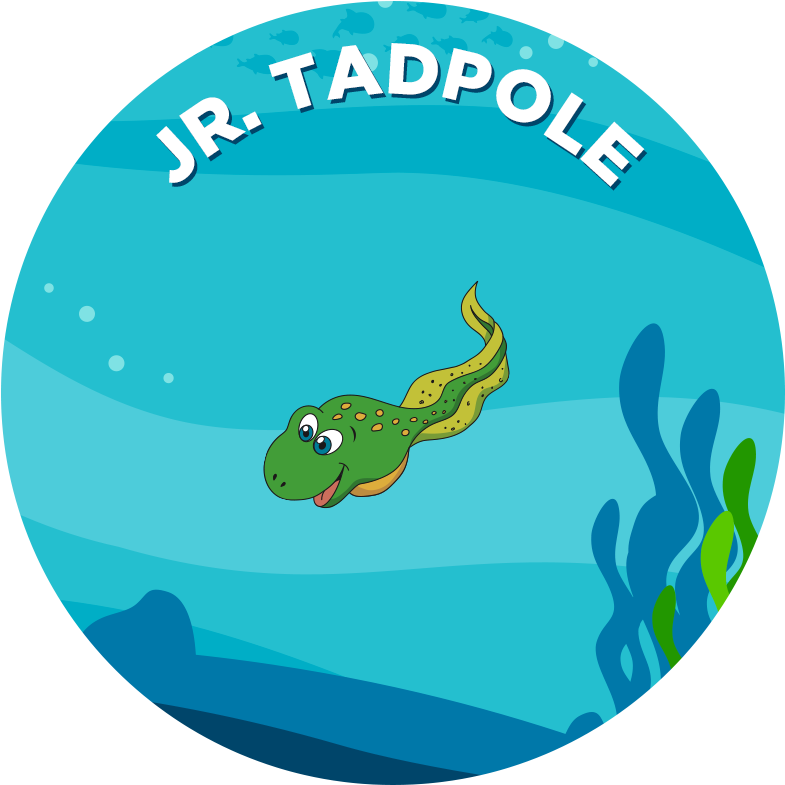 A Free Class For Babies 3-6 Months And Their Parents - Pokémon Mystery Dungeon: Blue Rescue Team And Red Rescue (800x800)