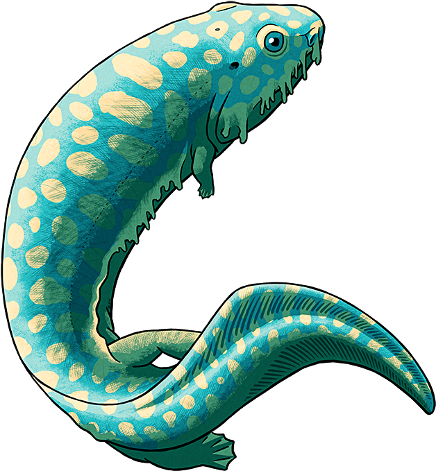 Amphibian August - Amphibian August 2016 (656x700)