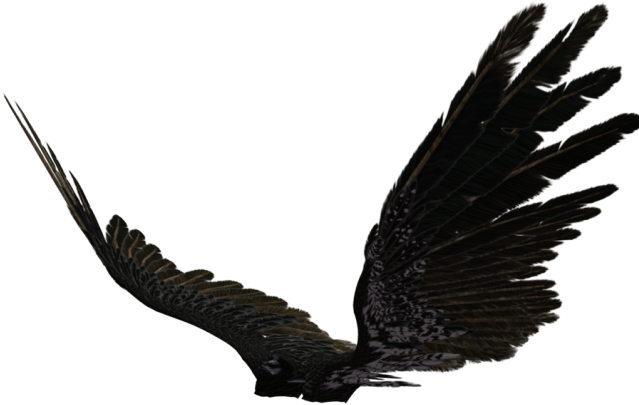 Dark Angel Clipart Pegasus Wing - Transparent Black Angel Wings (640x480)
