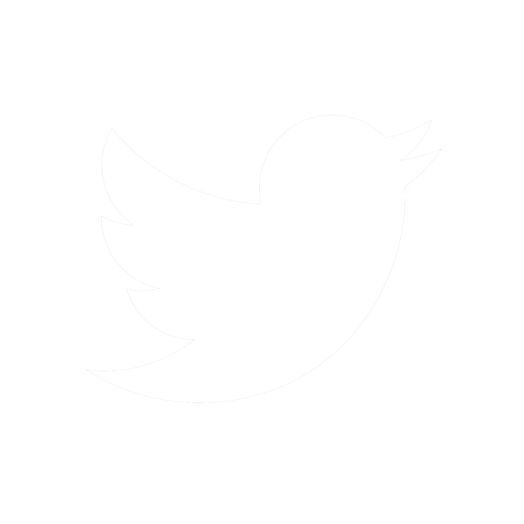 Twitter logo white. Белым бело твиттер. Логотип твиттера без фона. Иконка твиттер белая. Иконка твиттер белого цвета.
